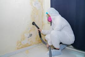 Forensic Mold Investigation in Minster, OH